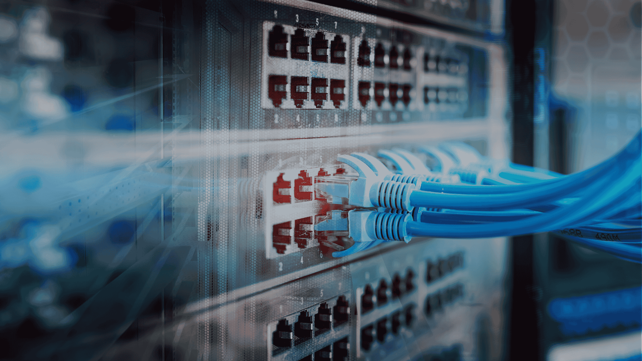 Cat6a with cat6 switch compatibility and installation guide for businesses